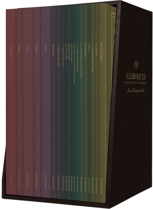 ESV Illuminated Scripture Journal (New Testament Set  (Paperback)) by , 9781433564994