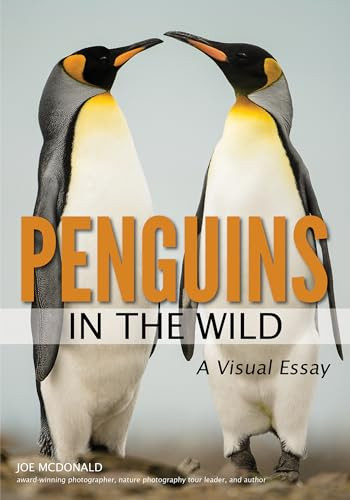 Penguins in the Wild by Joe McDonald, 9781682033722