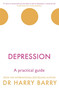 Depression (A practical guide) by Harry Barry, 9781409174493