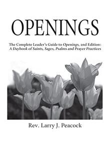 Openings Leader Guide 2/E by Rev. Larry J. Peacock, 9781683365679