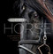 American Horse by D.A. Michaels, 9781944833473