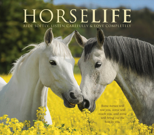 Horselife by Willow Creek Press, 9781682348215