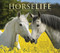 Horselife by Willow Creek Press, 9781682348215