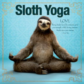 Sloth Yoga by Willow Creek Press, 9781682348314