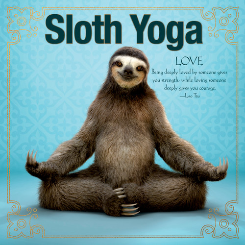 Sloth Yoga by Willow Creek Press, 9781682348314