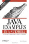 Java Examples in a Nutshell (A Tutorial Companion to Java in a Nutshell) by David Flanagan, 9780596006204
