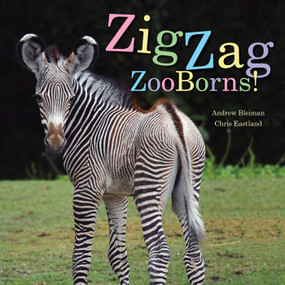 ZigZag ZooBorns! (Zoo Baby Colors and Patterns) - 9781534421196 by Andrew Bleiman, Chris Eastland, 9781534421196