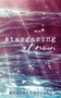 Stargazing at Noon by Amanda Torroni, 9781449495619