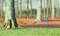 Hide and Seek - 9781536202601 by Anthony Browne, Anthony Browne