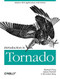 Introduction to Tornado (Modern Web Applications with Python) by Michael Dory, Allison Parrish, Brendan Berg, 9781449309077