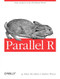 Parallel R (Data Analysis in the Distributed World) by Q McCallum, Stephen Weston, 9781449309923