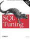 SQL Tuning (Generating Optimal  Execution Plans) by Dan Tow, 9780596005733