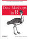 Data Mashups in R (A Case Study in Real-World Data Analysis) by Jeremy Leipzig, Xiao-Yi Li, 9781449303532