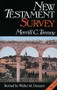 New Testament Survey - 9780802875211 by Merrill C. Tenney, 9780802875211
