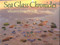 Sea Glass Chronicles by C. S. Lambert, 9780892725083