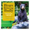 Bears Behaving Badly by John McDonald, 9781608936038