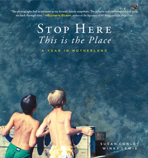 Stop Here, This is the Place by Susan Conley, Winky Lewis, 9781608936205