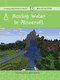 Moving Water in Minecraft (Engineering) by Adam Hellebuyck, Mike Medvinsky, 9781534143142
