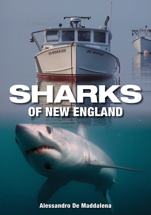 Sharks of New England by Alessandrao De Maddalena, 9780892728138