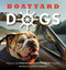 Boatyard Dogs by John Hansen, Polly Saltonstall, 9781608935017