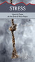 Stress (How to Cope at the End of Your Rope) by June Hunt, 9781596368996