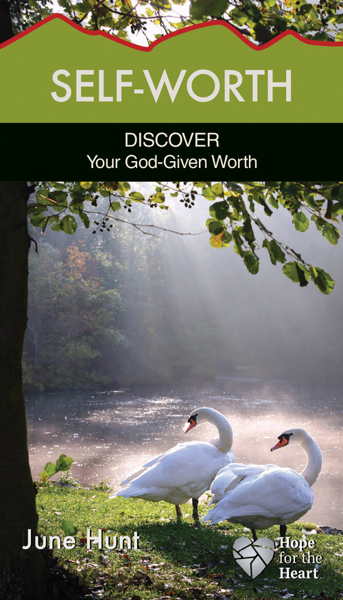 Self-Worth (Discover Your God-Given Worth) by June Hunt, 9781596366688