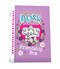 Dork Diaries Friendship Box by Rachel Renée Russell, Rachel Renée Russell, 9781534440623