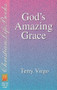 Gods Amazing Grace (Tools for Spirit led living) by Terry Virgo, 9780884193432