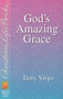 Gods Amazing Grace (Tools for Spirit led living) by Terry Virgo, 9780884193432