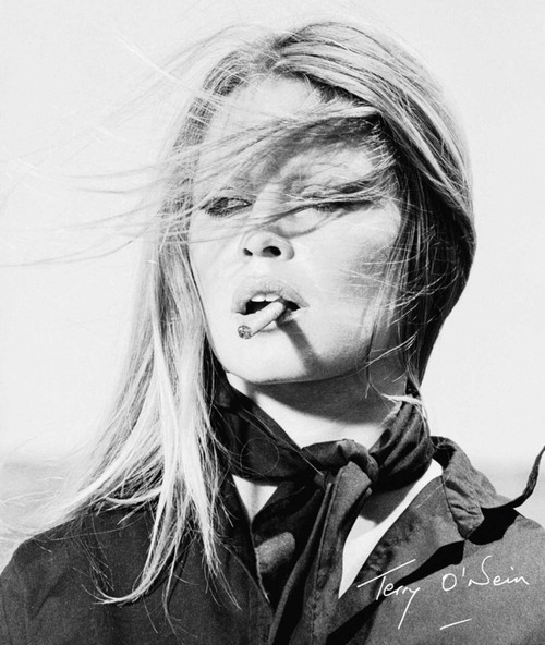 Terry O'Neill (The Opus) by Terry O'Neill, Dylan Jones, 9781788840286
