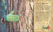 The Magic and Mystery of Trees by Jen Green, Claire McElfatrick, 9781465479365