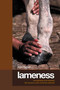 Lameness (Recognizing And Treating The Horse's Most Common Ailment) by Christine King, Richard Mansmann, 9781592286676