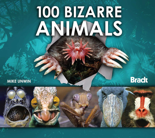 100 Bizarre Animals by Mike Unwin, 9781841623009