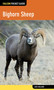 Bighorn Sheep - 9780762784912 by Jack Ballard, 9780762784912