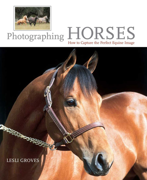Photographing Horses (How To Capture The Perfect Equine Image) by Lesli Groves, 9781592282302