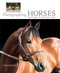 Photographing Horses (How To Capture The Perfect Equine Image) by Lesli Groves, 9781592282302