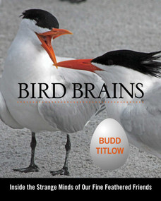 Bird Brains (Inside The Strange Minds Of Our Fine Feathered Friends) by Budd Titlow, 9780762787555
