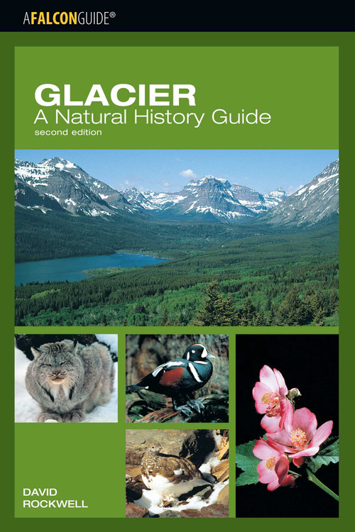 Glacier: A Natural History Guide by David Rockwell, 9780762735693