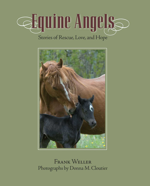 Equine Angels (Stories Of Rescue, Love, And Hope) by Frank Weller, Donna M. Cloutier, 9781599214443