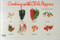 Cooking With Chile Peppers by Coleen Simmons, Bob Simmons, 9781558671492