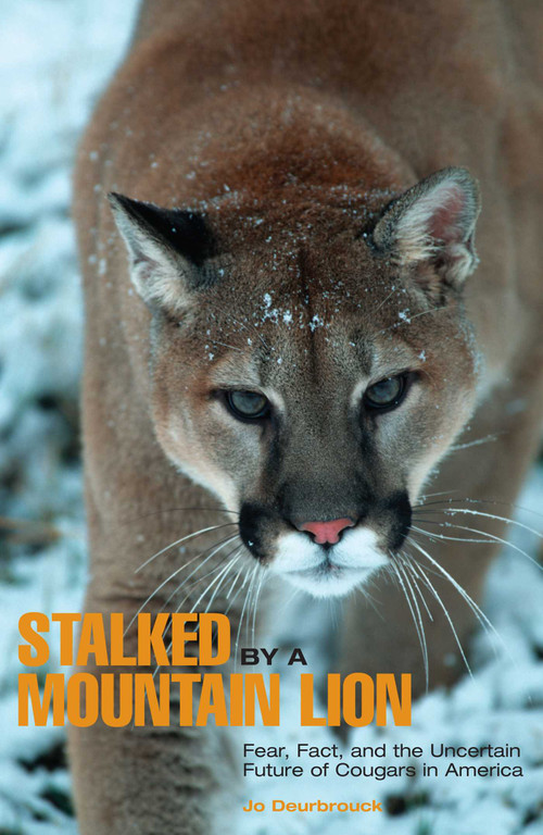 Stalked by a Mountain Lion (Fear, Fact, And The Uncertain Future Of Cougars In America) by Jo Deurbrouck, 9780762743155