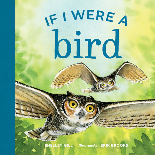 If I Were a Bird by Shelley Gill, Erik Brooks, 9781632172112