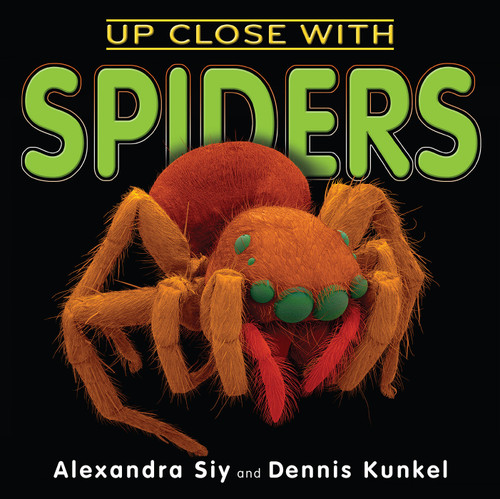 Up Close With Spiders by Alexandra Siy, Dennis Kunkel, 9780823440443