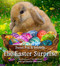 The Easter Surprise by Jennifer Churchman, John Churchman, 9780316411660