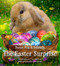 The Easter Surprise by Jennifer Churchman, John Churchman, 9780316411660