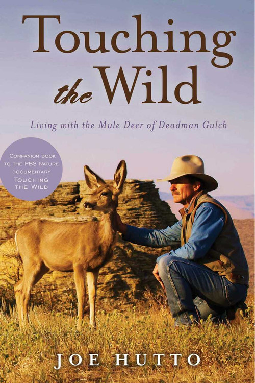 Touching the Wild (Living with the Mule Deer of Deadman Gulch) by Joe Hutto, 9781626362130