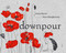 Downpour by Emily Martin, Mara Shaughnessy, 9781620875452