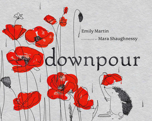 Downpour by Emily Martin, Mara Shaughnessy, 9781620875452