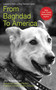 From Baghdad to America (Life Lessons from a Dog Named Lava) by Jay Kopelman, 9781602392649