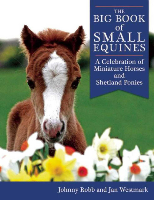 The Big Book of Small Equines (A Celebration of Miniature Horses and Shetland Ponies) - 9781632205148 by Johnny Robb, Jan Westmark, 9781632205148